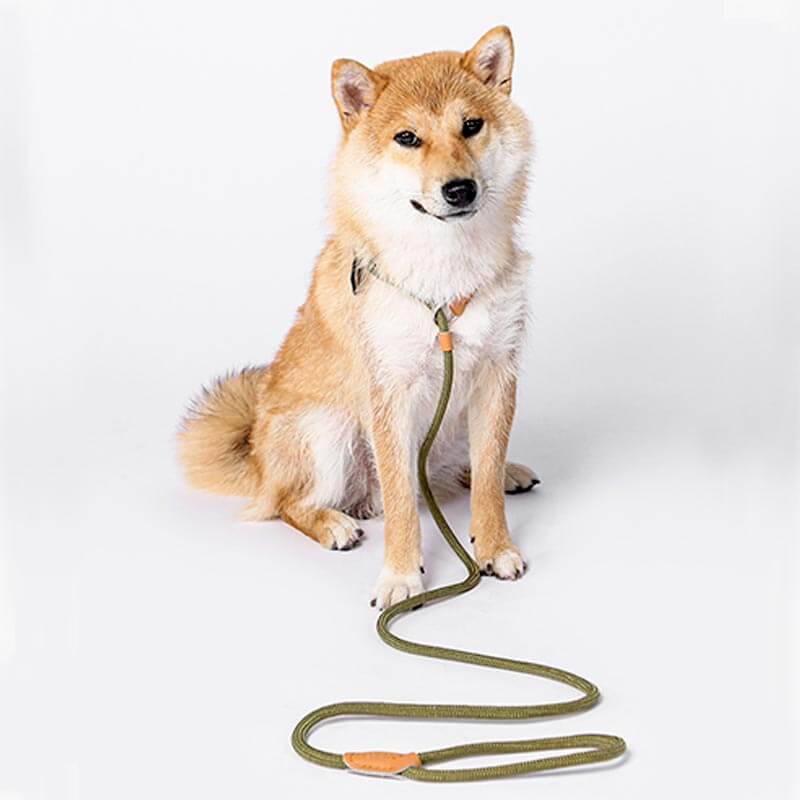 Rope Slip Lead Lepeto