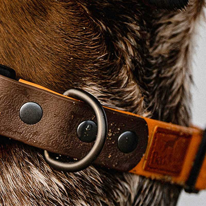 orange and brown