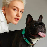 Load image into Gallery viewer, frechbulldog with green dog collar