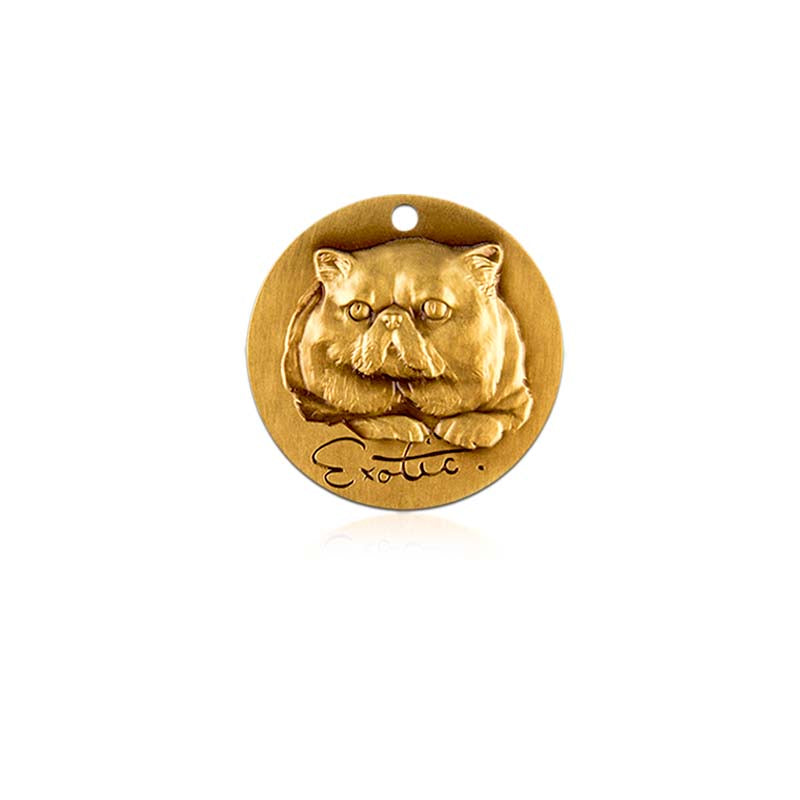 Exotic Shorthair cat id tag