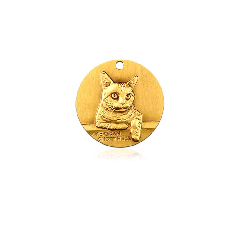 American Shorthair cat id tag
