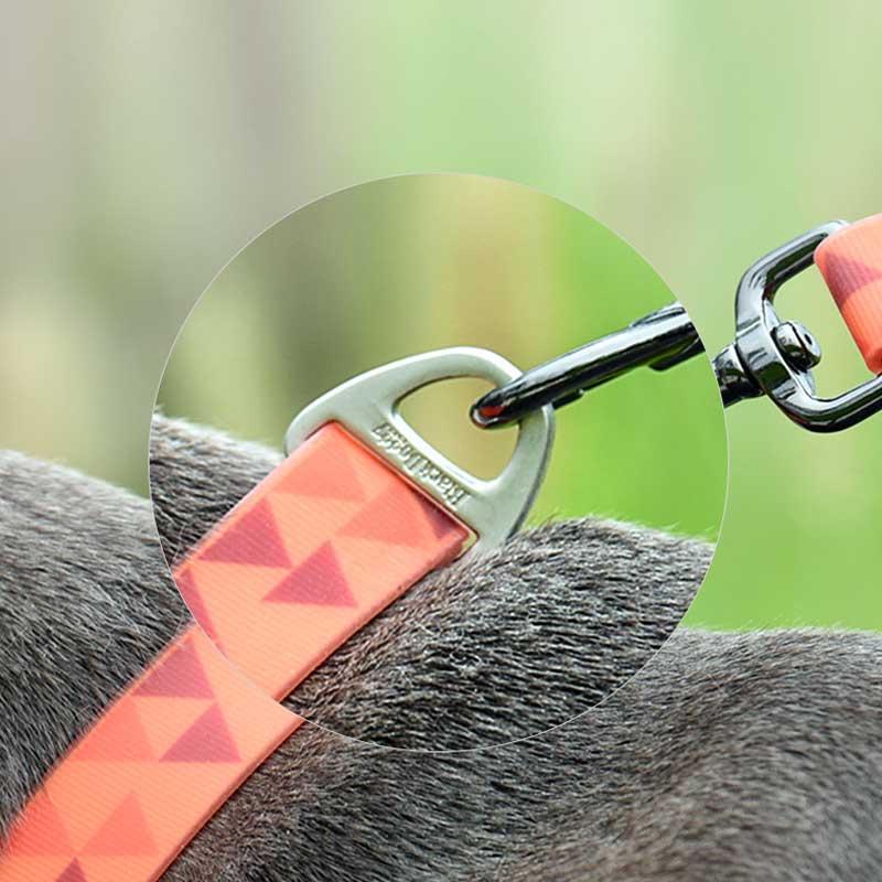 Waterproof Dog Collar Durable, Chew Proof, Adjustable