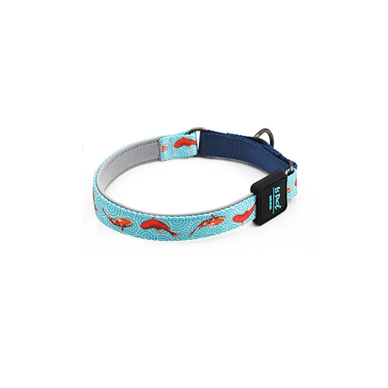 Martingale Training Dog Collars