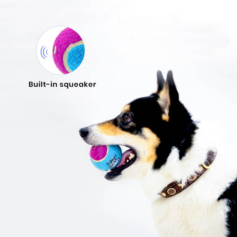 built-in-squeaker