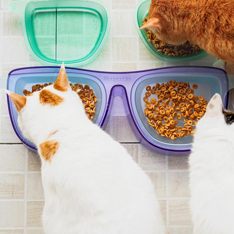 cat and double cat bowl