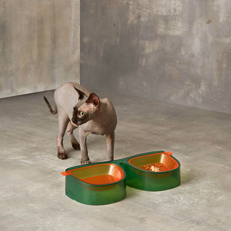 cat and double cat bowl