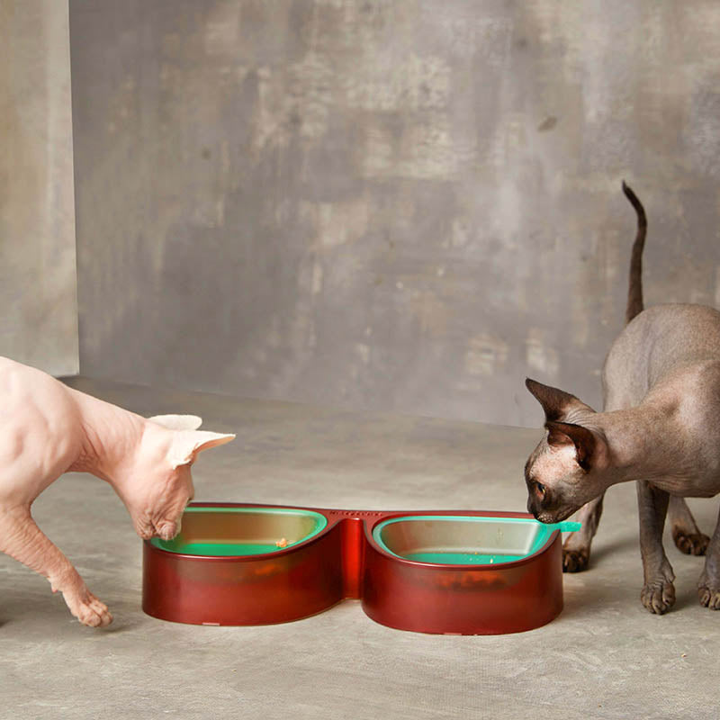brown double cat bowl