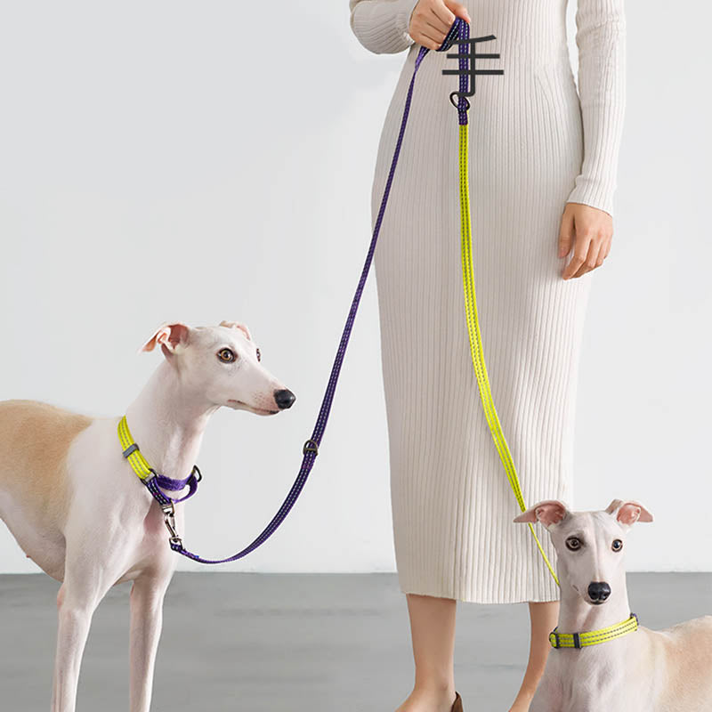 double dog leash