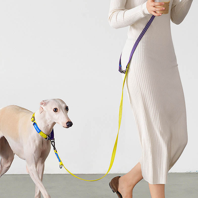 hands-free dog leash