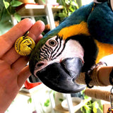 Load image into Gallery viewer, parrot pet tag for parrot lover