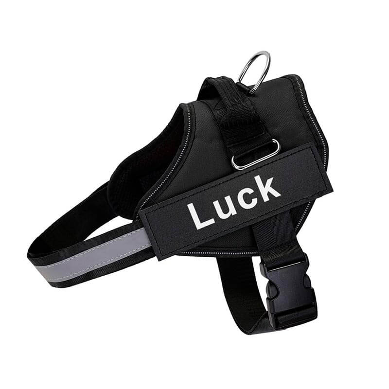 personalized dog harness with side release buckle black