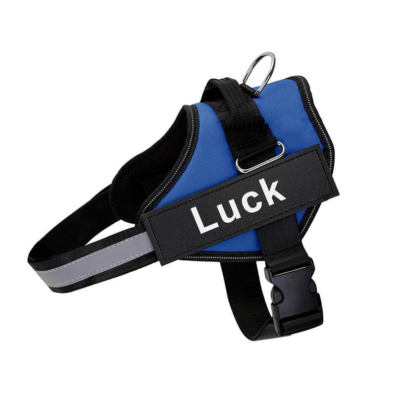 personalized dog harness with side release buckle  blue