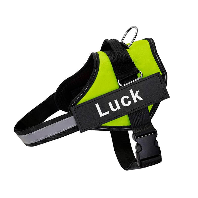 personalized dog harness with side release buckle  green