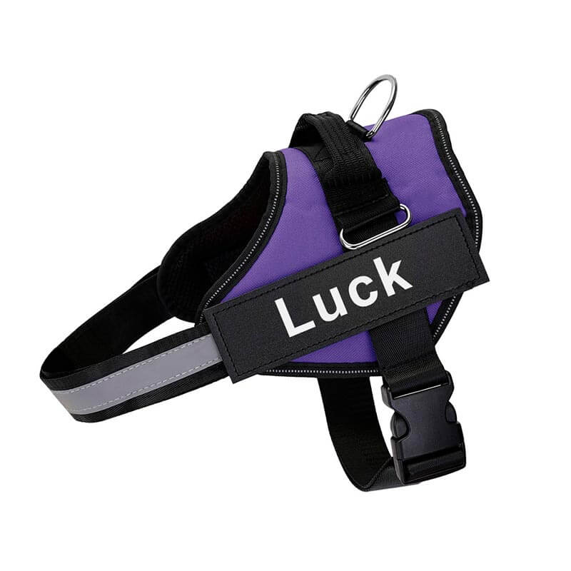 personalized dog harness with side release buckle  pur;le
