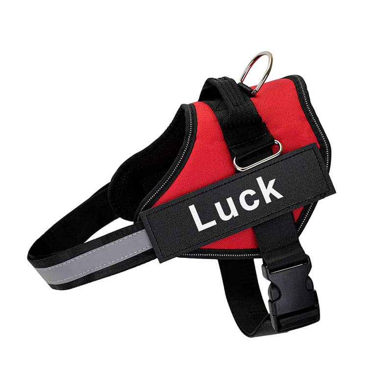 personalized dog harness with side release buckle  red