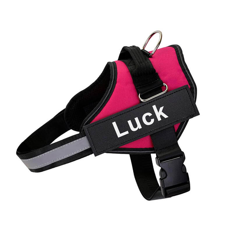 personalized dog harness with side release buckle  rose red
