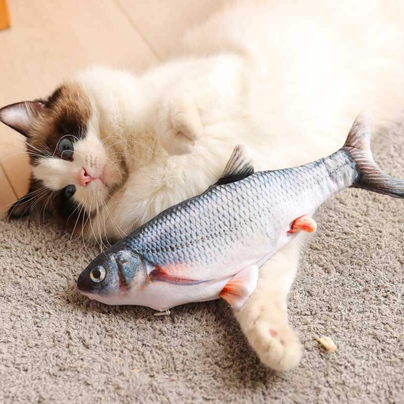 ragdoll cat and grass carp fish floppy cat toy