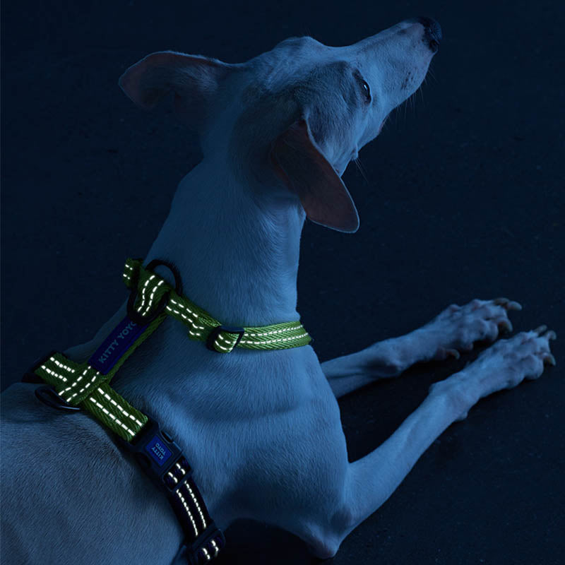 reflective dog harness