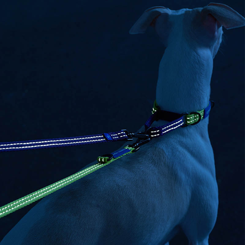 reflective dog leash