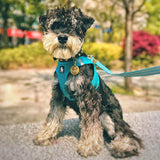 Load image into Gallery viewer, schnauzer dog tag