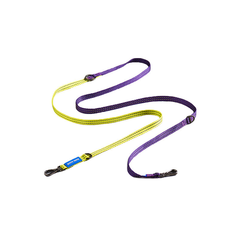 stylish multi functional dog leash