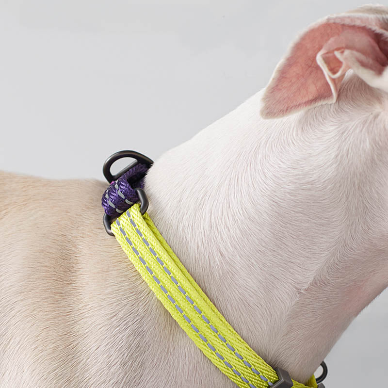 reflective martingale dog collar