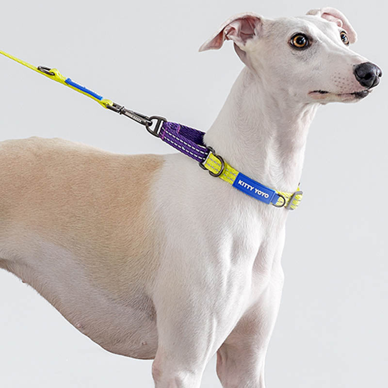 lepeto reflective martingale dog collar