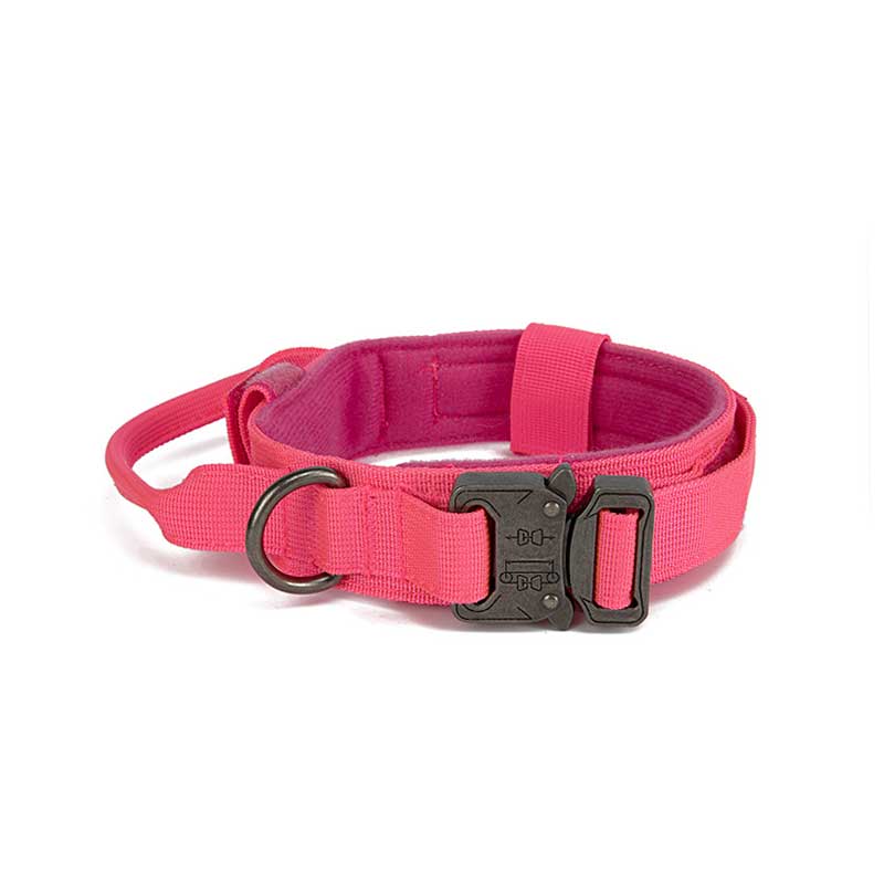 tactical dog collar pink