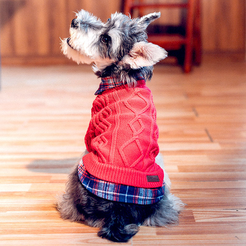 dog with vintage fake two piece dog sweater