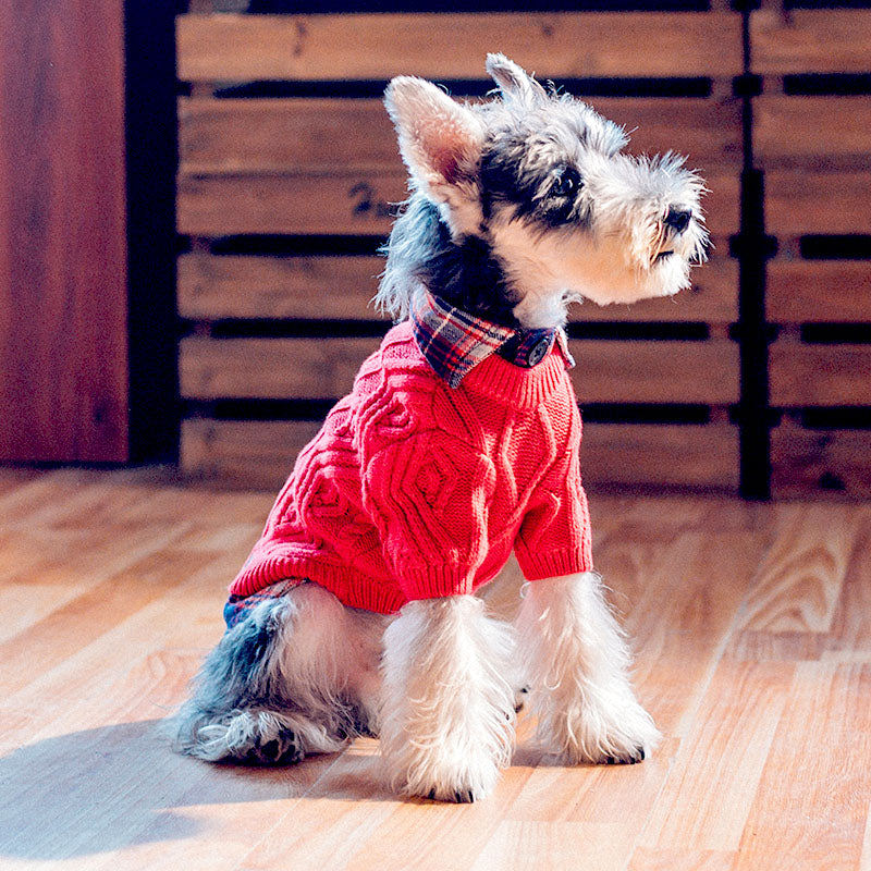dog with vintage fake two piece dog sweater