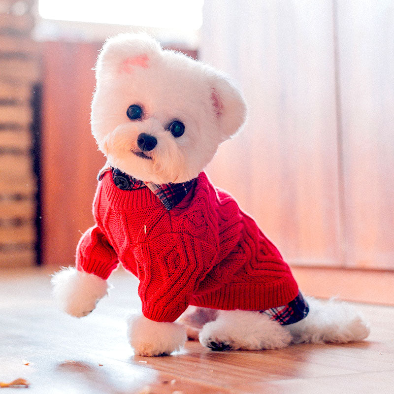 dog with vintage fake two piece dog sweater