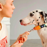 画像をギャラリービューアに読み込む, dalmatian with dog collar orange 