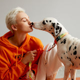 Load image into Gallery viewer, lady kiss the dalmatian with shock absorbing dog leash