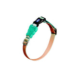 Load image into Gallery viewer, polyester dog collar green