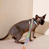 Load image into Gallery viewer, cat-with-harness-and-leash-set-pixel-flame
