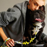 Load image into Gallery viewer, frenchbulldog with shcok basorbing dog leash