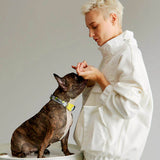 Load image into Gallery viewer, lady and frenchbulldog with yellow dog collar