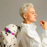 Load image into Gallery viewer, cute dalmatian with purple dog collar