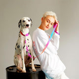 Load image into Gallery viewer, dalmatian with dalmatian wtih shock absorbing dog leash