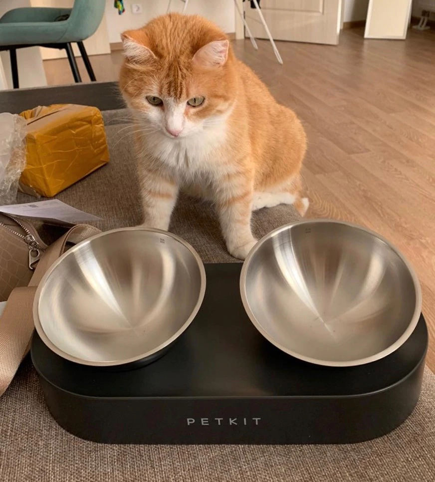 PETKIT Raised Dog Cat Food Bowl 304 Stainless Steel, Elevated Pet Food and  Water Bowl Dishes, Elevated Cat Bowls, Non-Slip Tilted Cat Bowl No Spill
