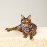 Load image into Gallery viewer, cat wtih cute floral cat collar with solid color bow tie purple