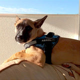 Load image into Gallery viewer, Personalized No Pull Dog Harness with Side Release Buckle