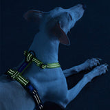 Load image into Gallery viewer, reflective dog harness