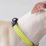 Load image into Gallery viewer, reflective martingale dog collar