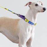 Load image into Gallery viewer, lepeto reflective martingale dog collar