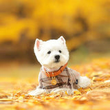 Load image into Gallery viewer, west highland terrier with dog name tag 